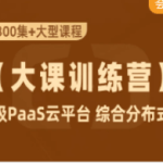 小滴课堂-2021年工业级PaaS云平台+SpringCloudAlibaba+JDK11综合项目实战|价值1399