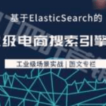 儒猿基于Elasticsearch的企业级电商搜索引擎实战|图文课