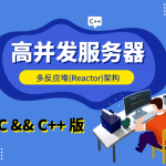 大丙课堂-高并发【Reactor】服务器 - C/C++ 版