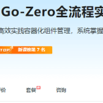 Go微服务精讲：Go-Zero全流程实战即时通讯|完结