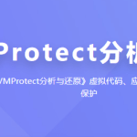 看雪VMProtect分析与还原