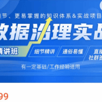 贾老师 数据治理实战【精讲班】