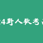 2024年5月野人软考高项