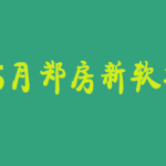 24年5月郑房新软考高项