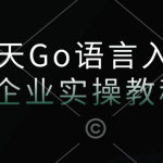 16天Go语言入门+企业实操教程