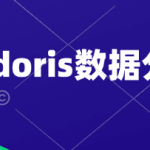 黑马doris数据分析教程