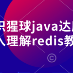 知识猩球java达摩院深入理解redis教程