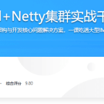 SpringCloud+Netty集群实战千万级IM系统|14章完结