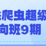 路飞爬虫超级逆向班9期