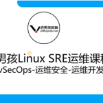 老男孩： Linux王牌自动化班89期， SRE运维视频课程