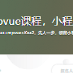 全网首发mpvue课程，小程序全栈开发