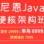 尼恩JAVA硬核架构班，疯狂创客圈社群VIP，高架构卷王班 价值-6999