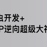 路飞-爬虫开发+APP逆向超级大神班1-7班|价值4999元|2022年|包更新