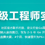 Go高级工程师实战营|价值5390|完结无密