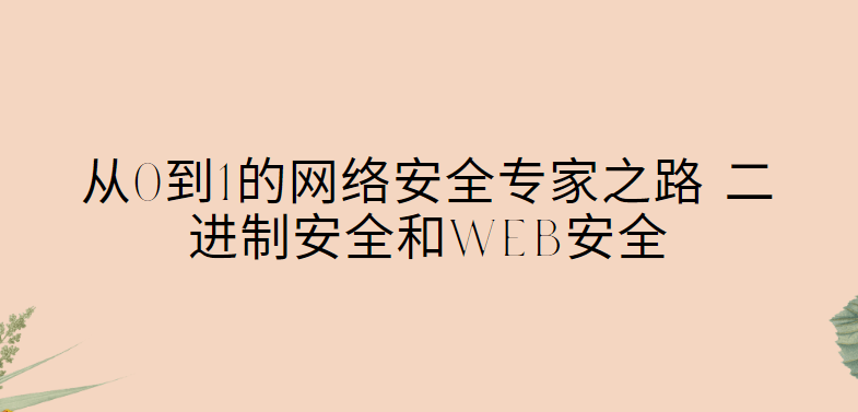 老鑫从0到1的网络安全专家之路 二进制安全和Web安全