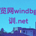 博览网windbg培训.net