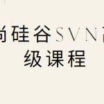 尚硅谷SVN高级课程