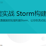 Java大数据实战 Storm构建实时流处理