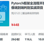 PyTorch深度学习，全流程医学影像端到端判别实战项目(2023新版) ,价值448元