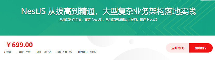 NestJS 从拔高到精通，大型复杂业务架构落地实践|完结