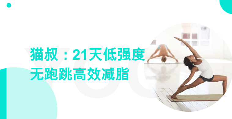 猫叔：21天低强度无跑跳高效减脂